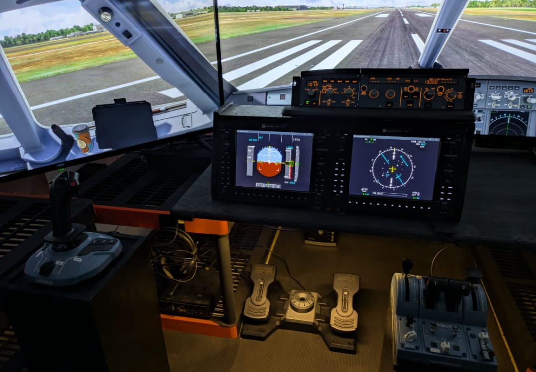 MST Sim
